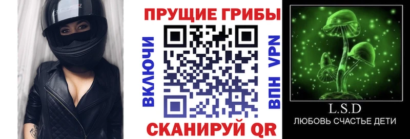 Галлюциногенные грибы ЛСД  закладка  Гвардейск 